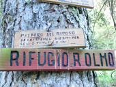 05 Primo albero del riposo